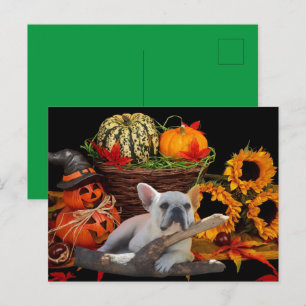 französische Bulldogge Halloween French Bulldog Postkarte