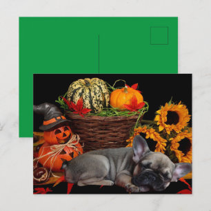 französische Bulldogge Halloween French Bulldog Postkarte