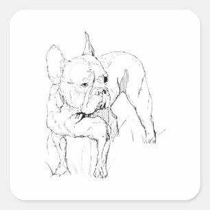 Französische Bulldogge – handgezeichnete Hundeillu Quadratischer Aufkleber