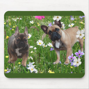 Französische Bulldogge Happy Day French Bulldog Mousepad