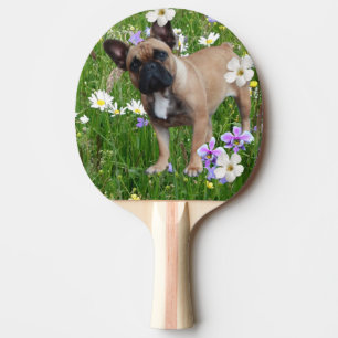 Französische Bulldogge Happy Day French Bulldog Tischtennis Schläger