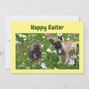 Französische Bulldogge Happy Easter French Bulldog Einladung