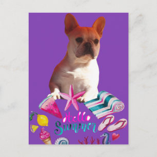 Französische Bulldogge Hello Summer French Bulldog Postkarte