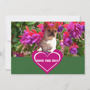 Französische Bulldogge Herz French Bulldog Mutter Einladung