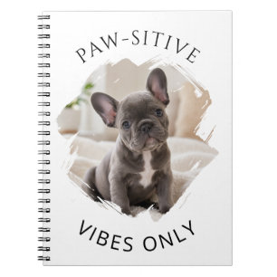 Französische Bulldogge Hund Positive vibes only Fo Notizblock