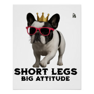 Französische Bulldogge Hunde Liebhaber Poster