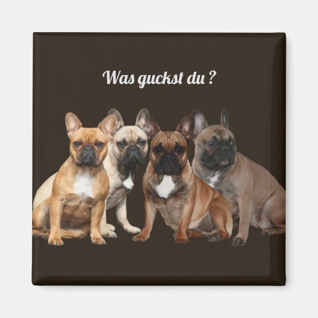 Französische Bulldogge Hundefamilie  Magnet (Vorne)