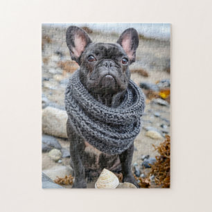 Französische Bulldogge in gestrickter Hundemode Puzzle