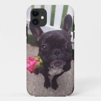 Französische Bulldogge iPhone 5/5S Fall Case-Mate iPhone Hülle