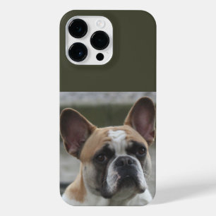 Französische Bulldogge  iPhone 14 Pro Max Hülle