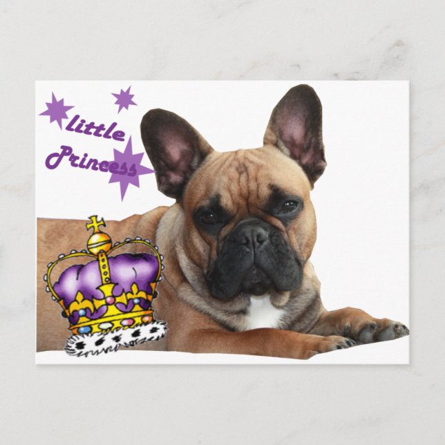 Französische Bulldogge Karte (Vorderseite)