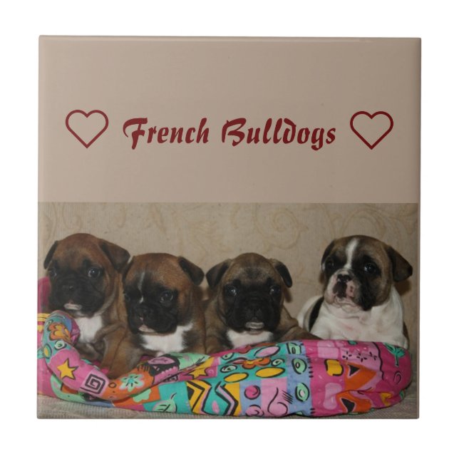 Französische Bulldogge Keramikfliese (Vorderseite)