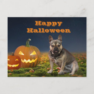 französische Bulldogge Kürbis French Bulldog Postkarte