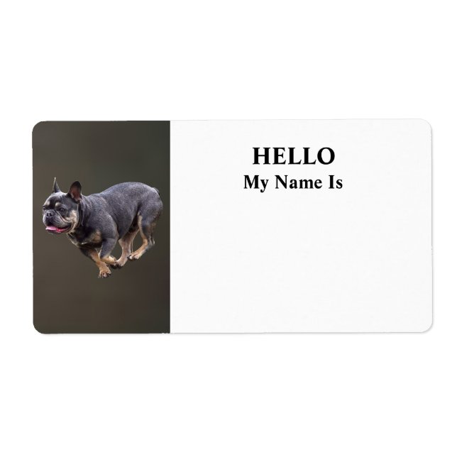 Französische Bulldogge läuft (Vorne)