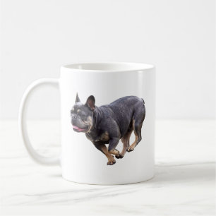 Französische Bulldogge läuft Kaffeetasse