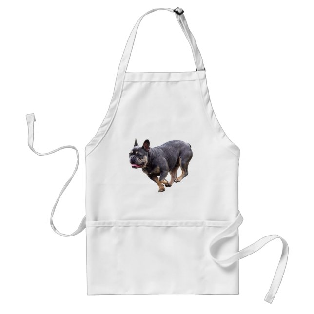 Französische Bulldogge läuft Schürze (Vorne)
