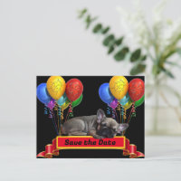 Französische Bulldogge Luftballon French Bulldog