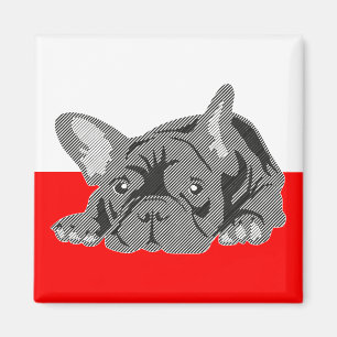 Französische Bulldogge Magnet