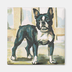 Französische Bulldogge Magnet