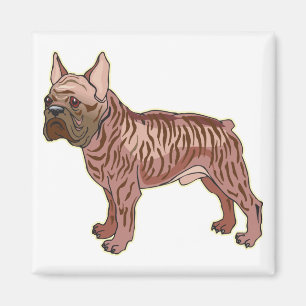 Französische Bulldogge Magnet
