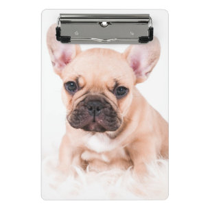 Französische Bulldogge Mini Klemmbrett