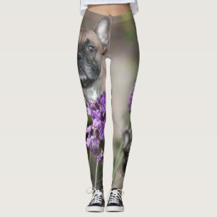 Französische Bulldogge mit Biene French Bulldog Leggings