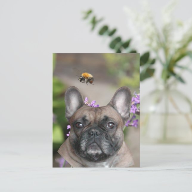 Französische Bulldogge mit Biene French Bulldog Postkarte (Stehend Vorderseite)