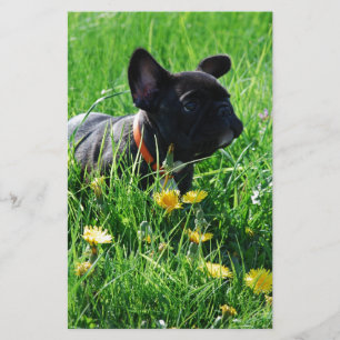 Französische Bulldogge mit Blumen French Bulldog  Briefpapier