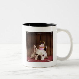 Französische Bulldogge mit Geburtstags-kleinem Zweifarbige Tasse
