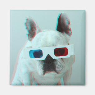 Französische Bulldogge mit Gläsern 3D Magnet