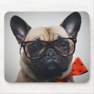 Französische Bulldogge mit Gläsern und Mousepad
