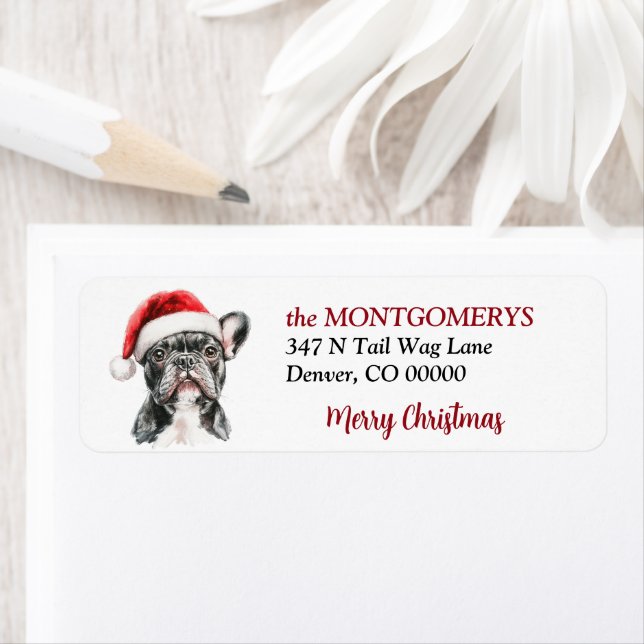 Französische Bulldogge mit Weihnachtsmannmütze zu  (Insitu)