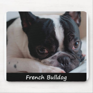 Französische Bulldogge Mousepad