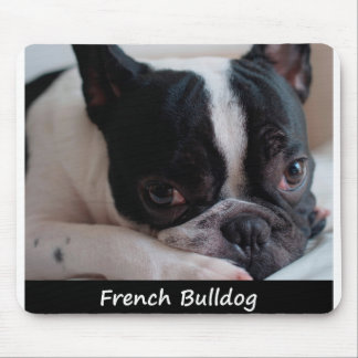 Französische Bulldogge Mousepad