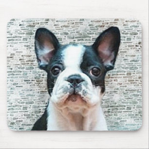 Französische Bulldogge mousepad