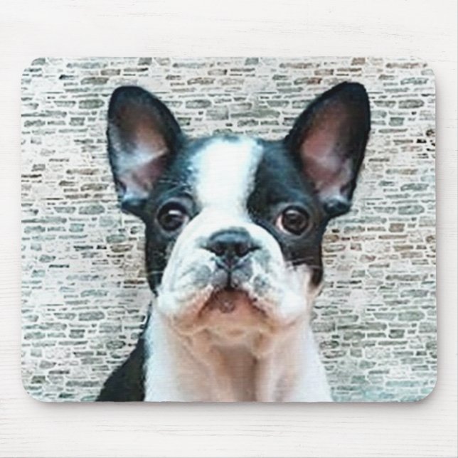 Französische Bulldogge mousepad (Vorne)