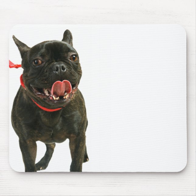 Französische Bulldogge Mousepad (Vorne)