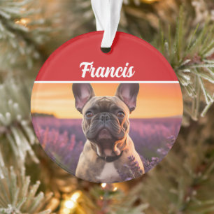 Französische Bulldogge Name und Foto Urlaub Weihna Ornament