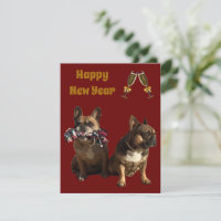 Französische Bulldogge Neujahr French Bulldog