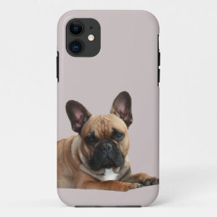 Französische Bulldogge Niedlich French Bulldog Case-Mate iPhone Hülle