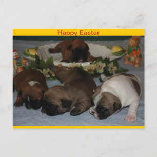 Französische Bulldogge Ostern French Bulldog Feiertagspostkarte