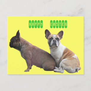 Französische Bulldogge Ostern French Bulldog Feiertagspostkarte