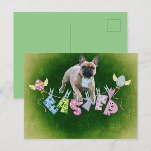 französische Bulldogge Ostern French Bulldog Postkarte