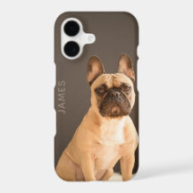 Französische Bulldogge Personalisierter Name | Hun