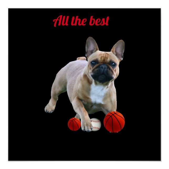 Französische Bulldogge Poster (Vorderseite)