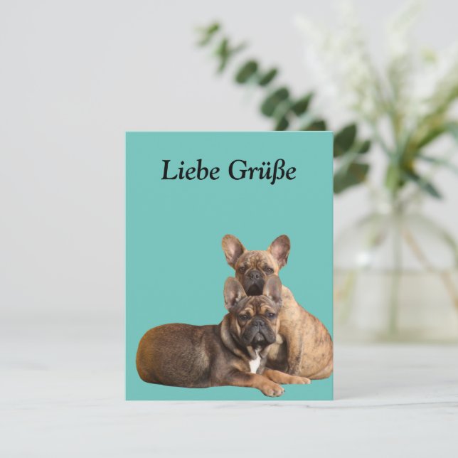 Französische Bulldogge Postkarte (Stehend Vorderseite)