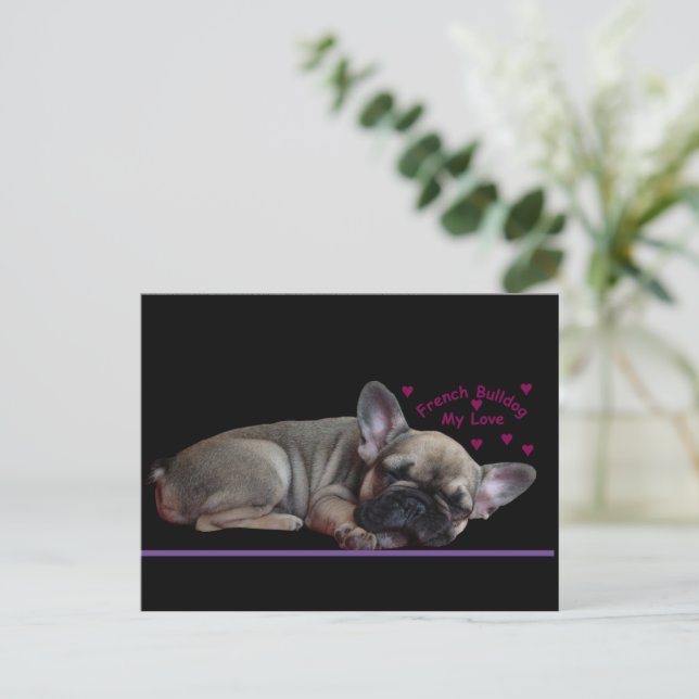 Französische Bulldogge  Postkarte (Stehend Vorderseite)
