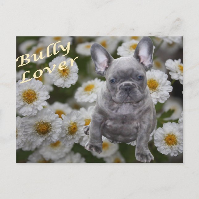 Französische Bulldogge Postkarte (Vorderseite)