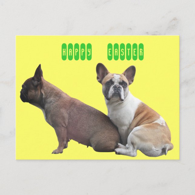 Französische Bulldogge Postkarte (Vorderseite)