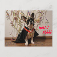 Französische Bulldogge Postkarte Karneval